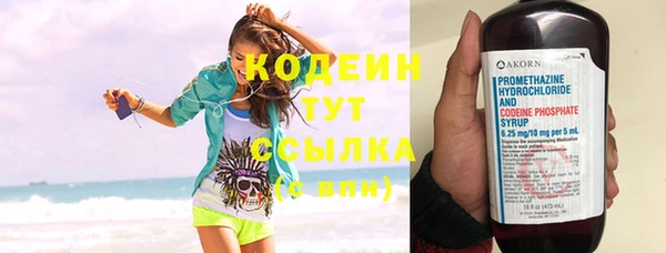 индика Лиски