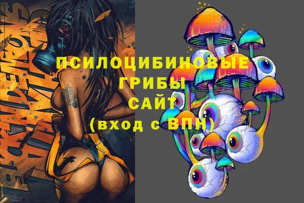 мдма Ладушкин