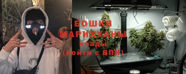 индика Лиски